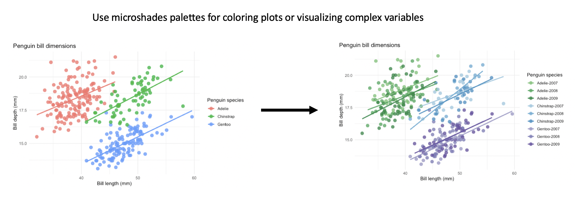 A custom color palette for improving data visualization • microshades